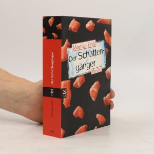 gebrauchtes Buch – Monika Feth – Der Schattengänger