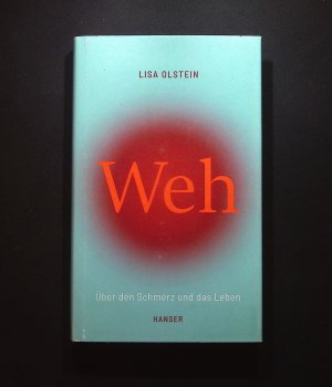 gebrauchtes Buch – Olstein, Lisa und Barbara Schaden – Weh : über den Schmerz und das Leben Lisa Olstein ; aus dem Englischen von Barbara Schaden