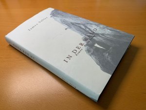 Bildtext: In der Wand von Salter, James