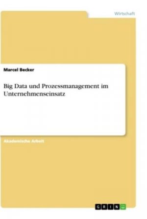 Big Data und Prozessmanagement im Unternehmenseinsatz