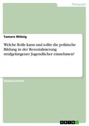 Welche Rolle kann und sollte die politische Bildung in der Resozialisierung strafgefangener Jugendlicher einnehmen?