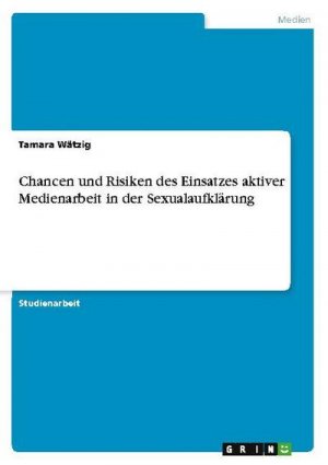 Chancen und Risiken des Einsatzes aktiver Medienarbeit in der Sexualaufklärung