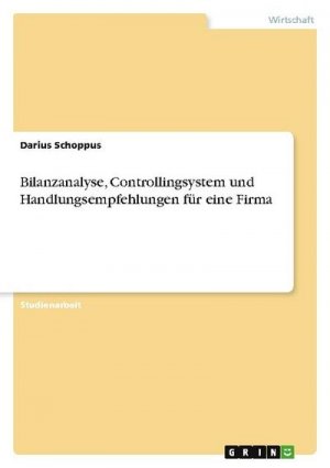 Bilanzanalyse, Controllingsystem und Handlungsempfehlungen für eine Firma