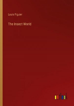 The Insect World