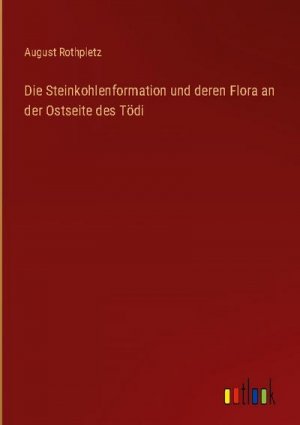 Die Steinkohlenformation und deren Flora an der Ostseite des Tödi