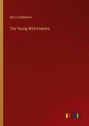 The Young Wild-Fowlers