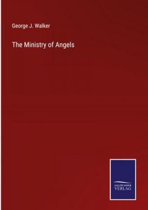 The Ministry of Angels