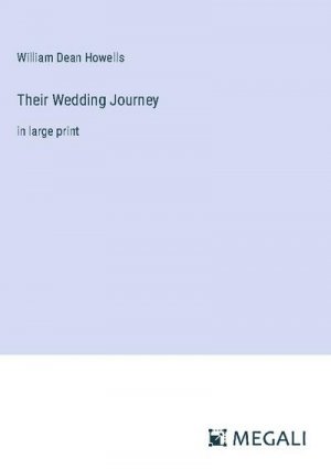 Their Wedding Journey