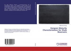 Kergoen Maturity Characterization for Shale Reservoirs