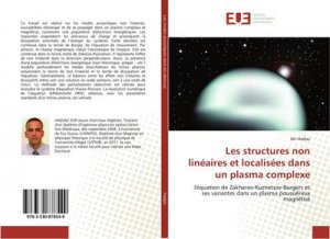 Les structures non linéaires et localisées dans un plasma complexe