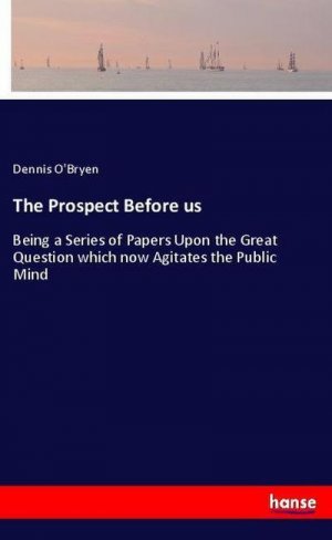 The Prospect Before us