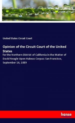 Opinion of the Circuit Court of the United States