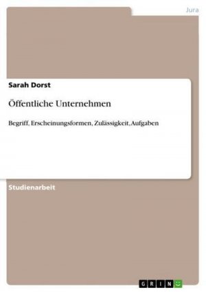 neues Buch – Sarah Dorst – Öffentliche Unternehmen