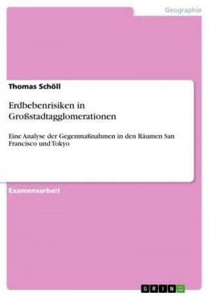 Erdbebenrisiken in Großstadtagglomerationen