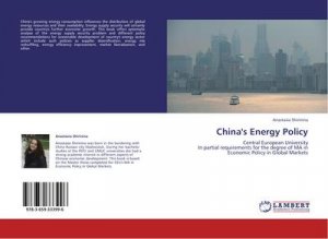 China's Energy Policy