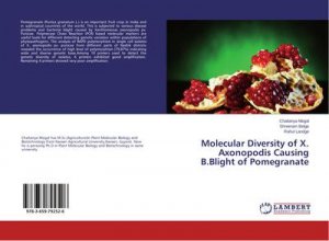 Molecular Diversity of X. Axonopodis Causing B.Blight of Pomegranate