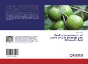 Quality Improvement of Guava by Zinc Sulphate and Gibberellic Acid