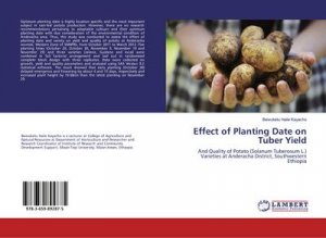 Effect of Planting Date on Tuber Yield