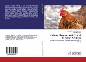 Spleen, Thymus and Caecal Tonsil in Chicken