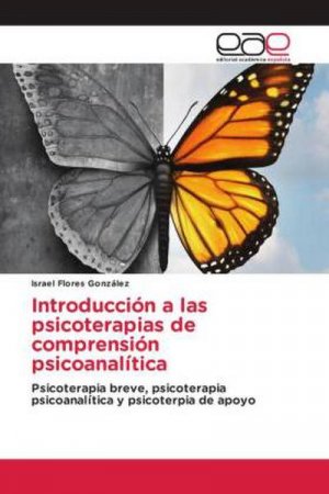 Introducción a las psicoterapias de comprensión psicoanalítica