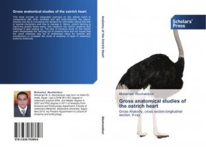 Gross anatomical studies of the ostrich heart