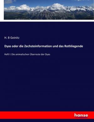 Dyas oder die Zechsteinformation und das Rothliegende