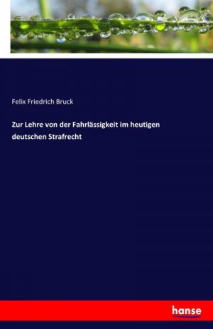 Zur Lehre von der Fahrlässigkeit im heutigen deutschen Strafrecht