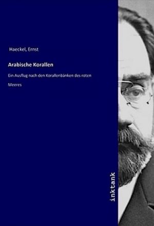 Arabische Korallen