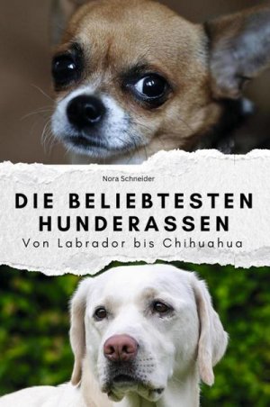 Die beliebtesten Hunderassen - Das perfekte Geschenk für Männer und Frauen zu Weihnachten und Geburtstag