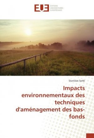 Impacts environnementaux des techniques d'aménagement des bas-fonds