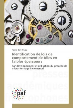 Identification de lois de comportement de tôles en faibles épaisseurs