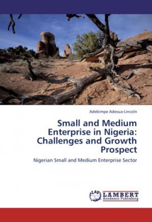 Small and Medium Enterprise in Nigeria: Challenges and Growth Prospect