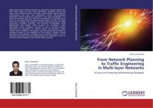 From Network Planning  to Traffic Engineering  in Multi-layer Networks