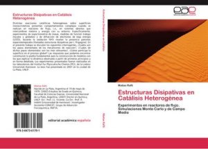 Estructuras Disipativas en Catálisis Heterogénea