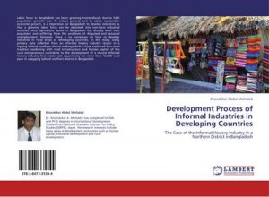 Development Process of Informal Industries in Developing Countries