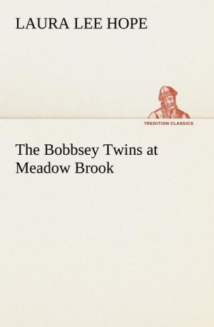 The Bobbsey Twins at Meadow Brook