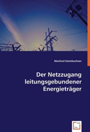 Der Netzzugang leitungsgebundener Energieträger