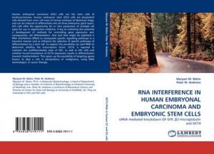 RNA INTERFERENCE IN HUMAN EMBRYONAL CARCINOMA AND EMBRYONIC STEM CELLS