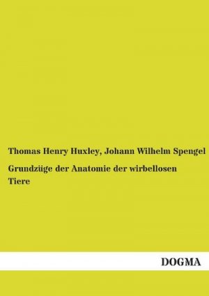 Grundzüge der Anatomie der wirbellosen Tiere