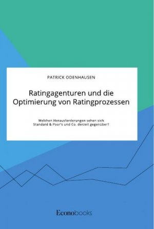 Ratingagenturen und die Optimierung von Ratingprozessen. Welchen Herausforderungen sehen sich Standard & Poor's und Co. derzeit gegenüber?