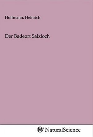 Der Badeort Salzloch