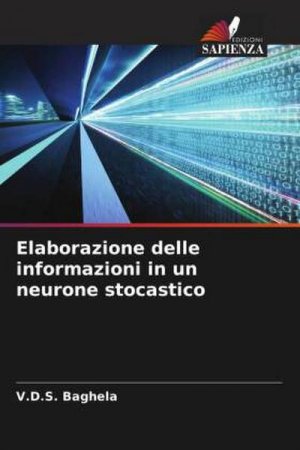 Elaborazione delle informazioni in un neurone stocastico