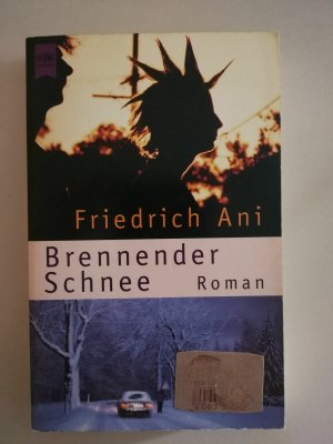 Brennender Schnee Friedrich Ani guter Zustand siehe Bild R51