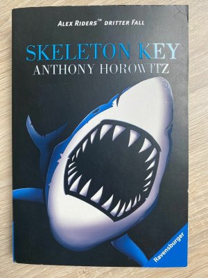 Jugendbuch - Skeleton Key - dritter Fall - Anthony Horowitz TB K302-5