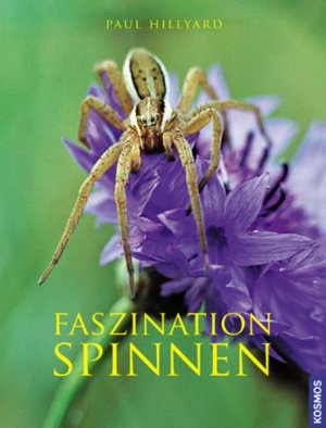 gebrauchtes Buch – Paul Hillyard – Faszination Spinnen