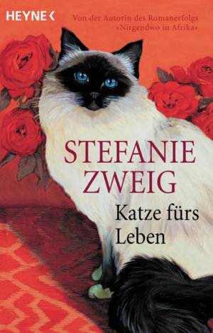 gebrauchtes Buch – Stefanie Zweig – Katze fürs Leben: Roman gebrauchtes Buch – Stefanie Zweig – Katze fürs Leben: Roman