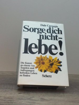 gebrauchtes Buch – Dale Carnegie – Sorge dich nicht - lebe!