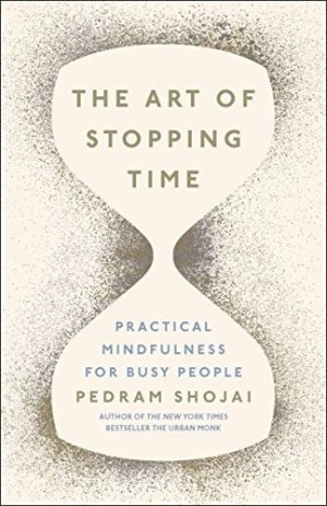 gebrauchtes Buch – Pedram Shojai – Art Of Stopping Time