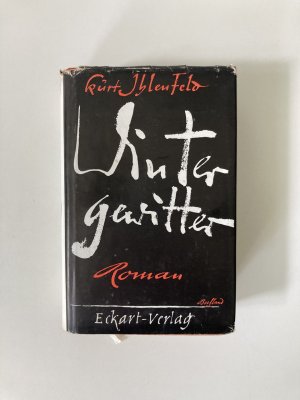 Wintergewitter: Roman