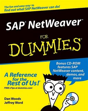 ISBN 9780764568831: SAP NetWeaver For Dummies